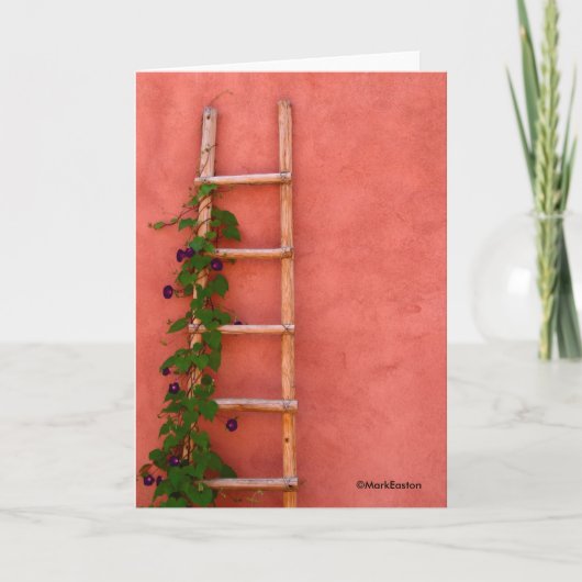 Fe van de kerstman, ©MarkEaston Kaart (Voorkant)