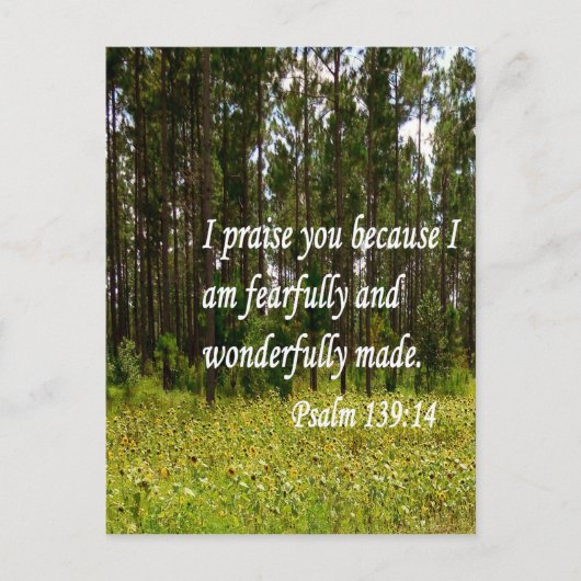 Fearful en Wonderful Made Briefkaart (Voorkant)