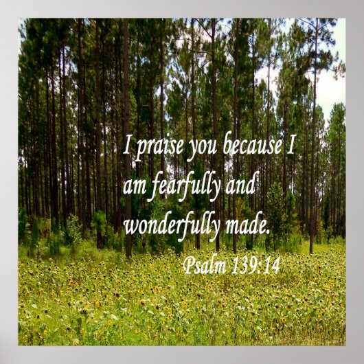 Fearful en Wonderful Made Poster (Voorkant)