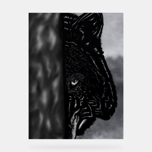 Fearlessly Watching – Hand-Drawn Wolf Acryl Bord (Voorkant)