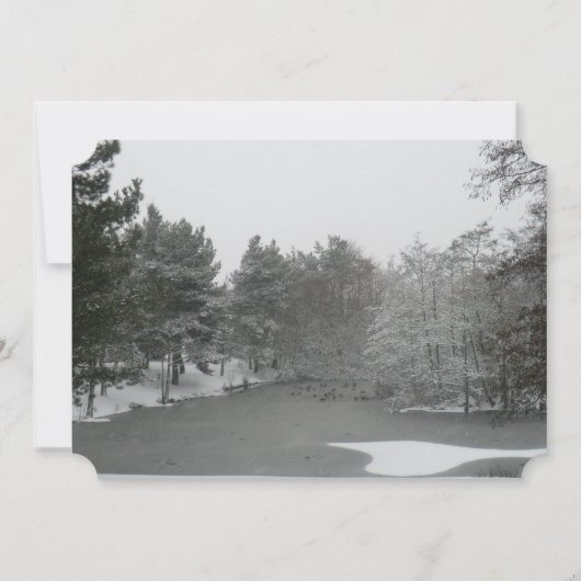 Feast van de Uitnodiging van de Hekate aan een Pag (Voorkant)