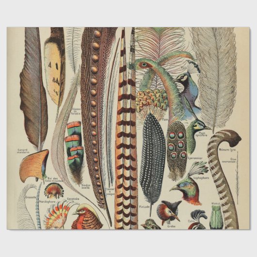 Feather Bird Wildlife Antiek veren Cadeaupapier (Vlak)