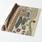 Feather Bird Wildlife Antiek veren Cadeaupapier (Uitgerold)