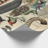 Feather Bird Wildlife Antiek veren Cadeaupapier (Hoek)