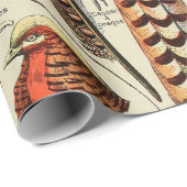 Feather Bird Wildlife Antiek veren Cadeaupapier (Rol Hoek)