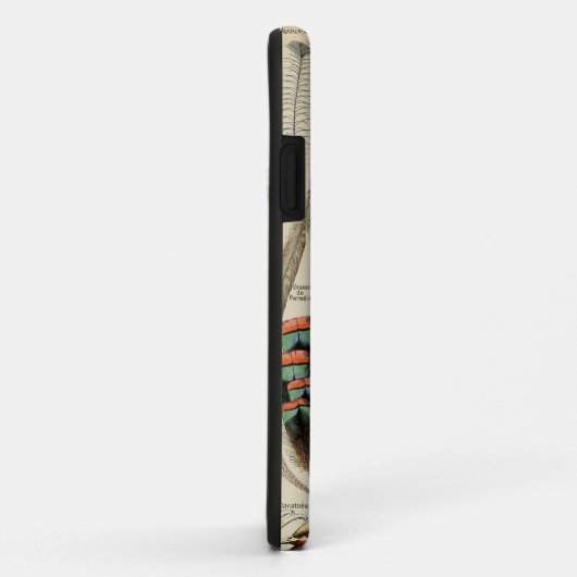 Feather Bird Wildlife Antiek veren Case-Mate iPhone Case (Achterkant/rechts)