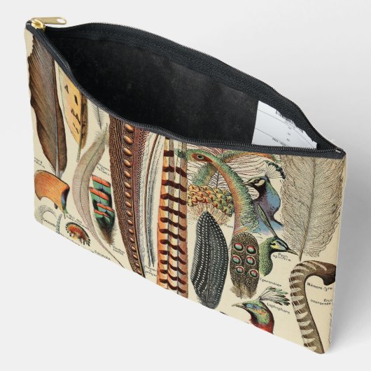 Feather Bird Wildlife Antiek veren Etui (Open)