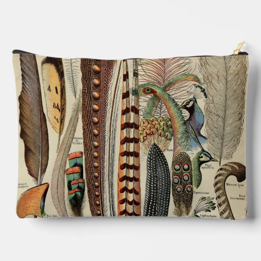 Feather Bird Wildlife Antiek veren Etui (Achterkant)