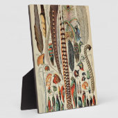 Feather Bird Wildlife Antiek veren Fotoplaat (Zijkant)