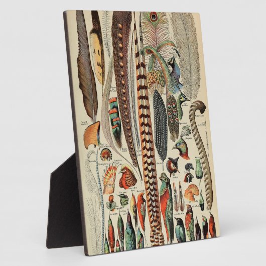 Feather Bird Wildlife Antiek veren Fotoplaat (Zijkant)