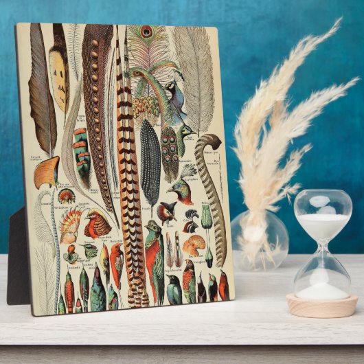 Feather Bird Wildlife Antiek veren Fotoplaat (Zijkant)