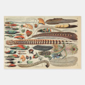 Feather Bird Wildlife Antiek veren Inpakpapier Vel (Voorkant)