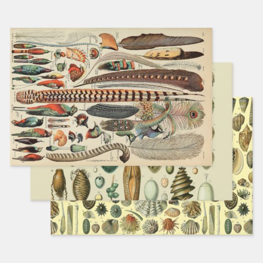 Feather Bird Wildlife Antiek veren Inpakpapier Vel (Set)