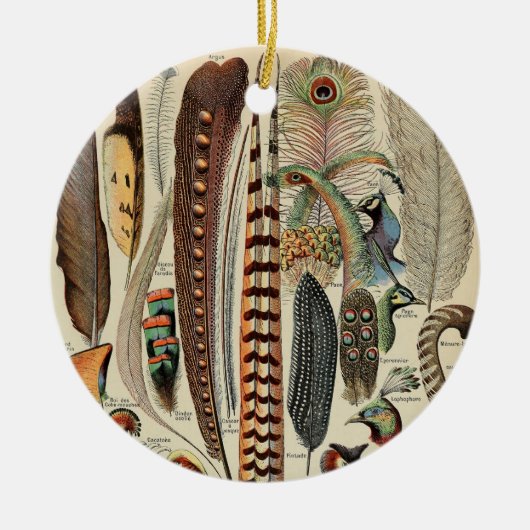 Feather Bird Wildlife Antiek veren Keramisch Ornament (Voorkant)