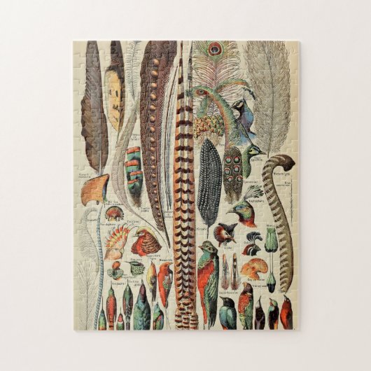 Feather Bird Wildlife Antiek veren Legpuzzel (Verticaal)