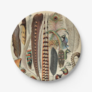 Feather Bird Wildlife Antiek veren Papieren Bordje