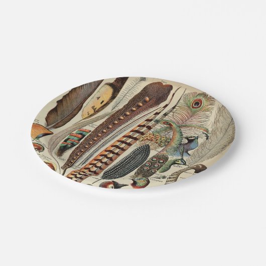 Feather Bird Wildlife Antiek veren Papieren Bordje (Gekanteld)
