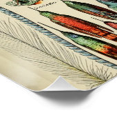 Feather Bird Wildlife Antiek veren Perfect Poster (Hoek)