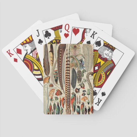 Feather Bird Wildlife Antiek veren Pokerkaarten (Achterkant)