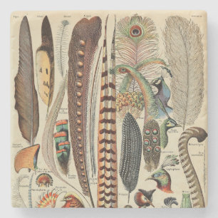 Feather Bird Wildlife Antiek veren Stenen Onderzetter