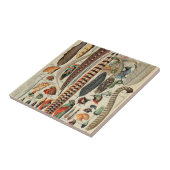 Feather Bird Wildlife Antiek veren Tegeltje (Zijkant)