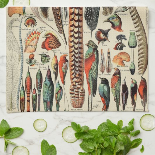 Feather Bird Wildlife Antiek veren Theedoek (Gevouwen)