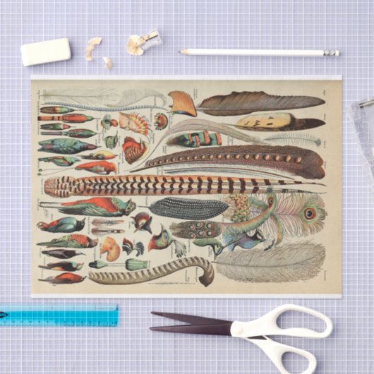 Feather Bird Wildlife Antiek veren Tissuepapier (Craft)