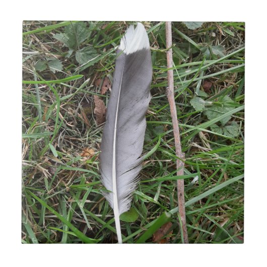 Feather keramische Tegel Tegeltje (Voorkant)