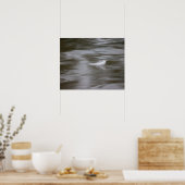 feather on the water poster (Keuken)