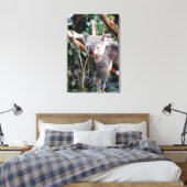 Featherdale Wildlife Park, Koala-Beren Canvas Afdruk (Insitu (Slaapkamer))