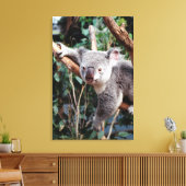 Featherdale Wildlife Park, Koala-Beren Canvas Afdruk (Insitu (Woonkamer))