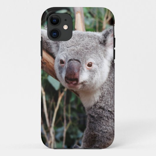 Featherdale Wildlife Park, Koala-Beren Case-Mate iPhone Case (Achterkant)