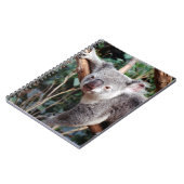 Featherdale Wildlife Park, Koala-Beren Notitieboek (Linkerzijde)