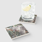 Featherdale Wildlife Park, Koala beren Stenen Onderzetter (Zijkant)