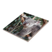 Featherdale Wildlife Park, Koala-Beren Tegeltje (Zijkant)