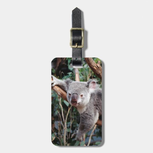 Featherdale Wildlife Park, Koala's Bagagelabel (Voorkant verticaal)