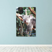 Featherdale Wildlife Park, Koala's Canvas Afdruk (Insitu (Houten vloer))