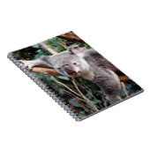 Featherdale Wildlife Park, Koala's Notitieboek (Rechterzijde)
