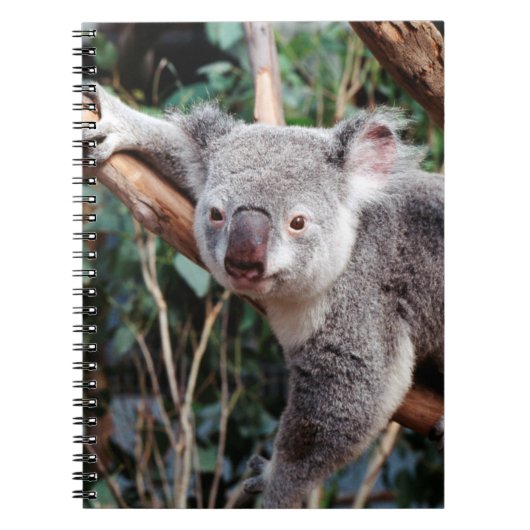Featherdale Wildlife Park, Koala's Notitieboek (Voorkant)