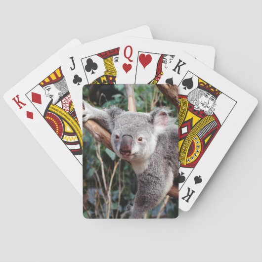 Featherdale Wildlife Park, Koala's Pokerkaarten (Achterkant)