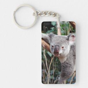 Featherdale Wildlife Park, Koala's Sleutelhanger