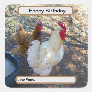 Feathered Companions: Witte Haan en zijn Hen Vierkante Sticker
