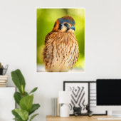 Feathered Ember: The Watchful Kestrel Poster (Thuiskantoor)
