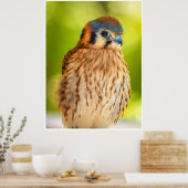 Feathered Ember: The Watchful Kestrel Poster (Keuken)