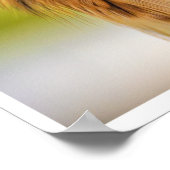 Feathered Ember: The Watchful Kestrel Poster (Hoek)