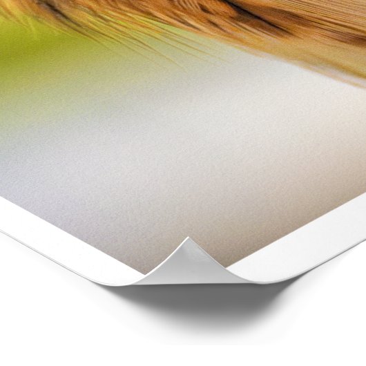 Feathered Ember: The Watchful Kestrel Poster (Hoek)