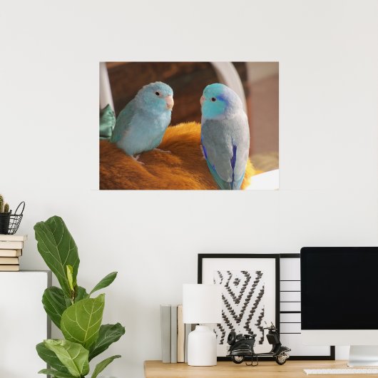 Feathered Friends Blue Pacific Parrotlets Bird Art Poster (Thuiskantoor)