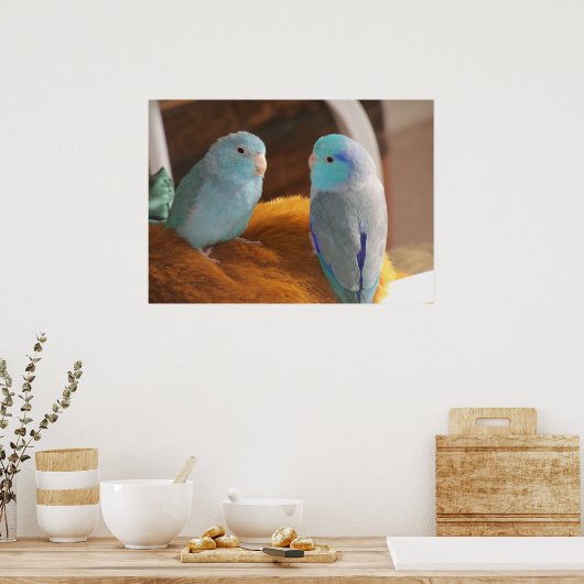 Feathered Friends Blue Pacific Parrotlets Bird Art Poster (Keuken)