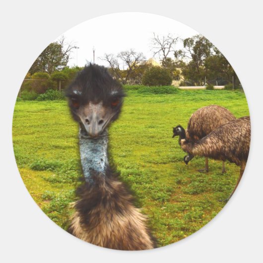 "Feathered Interruption: De Grote EMU-fotobom" Ronde Sticker (Voorkant)