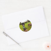 "Feathered Interruption: De Grote EMU-fotobom" Ronde Sticker (Envelop)